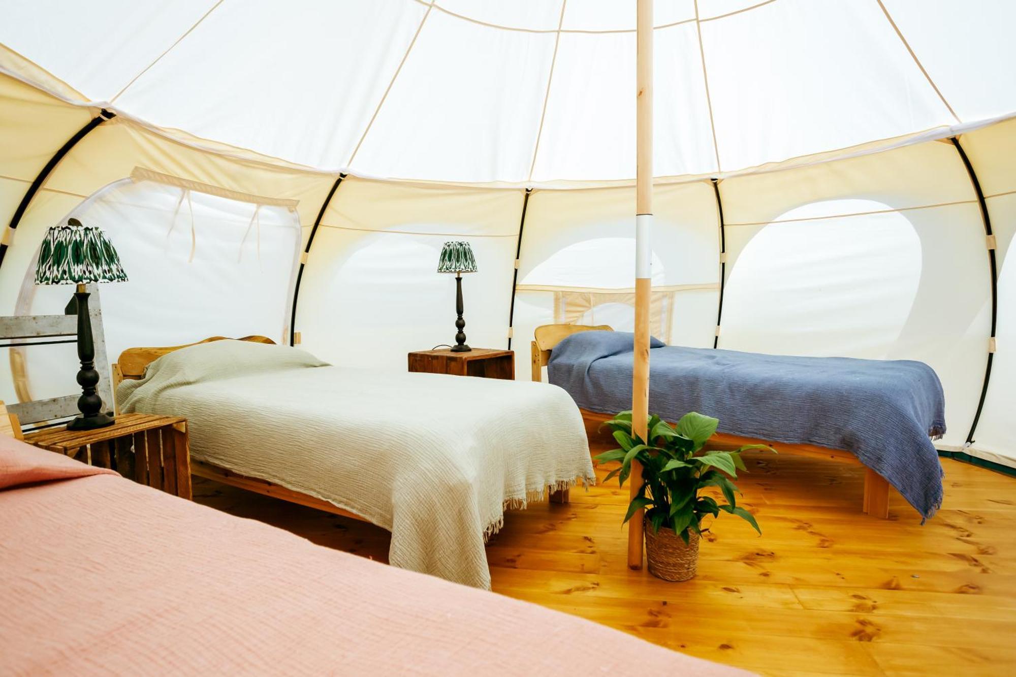 Luxury Glamping Retreat In Battle Villa Екстериор снимка